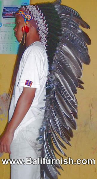 Indian HeadDresses