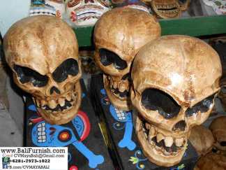 Skulls and Skeletons