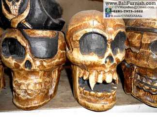 Skulls and Skeletons