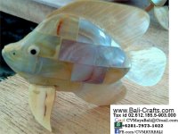 Sea Shell Crafts Bali Indonesia