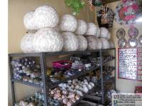 Sea Shell Shop in Bali Indonesia