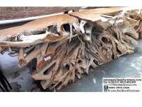 tkroot1-1-teak-root-console-table
