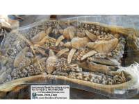 Teak Wood Table with Carvings Bali Indonesia