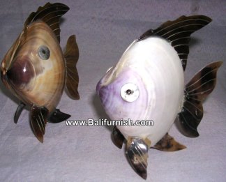 Sea Shell Fish Crafts Bali Indonesia
