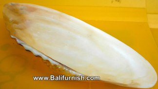 Seashell Crafts Wholesale Bali Indonesia