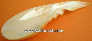 Seashell Spoon Sea Shell Crafts Bali Indonesia