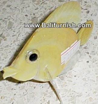 Seashell Handycraft Bali