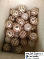 bcwjy1-12-sea-shell-ball-bali-indonesia