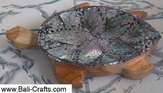 bcwjy1-9-turtle-sea-shell-bali-indonesia